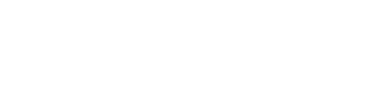 LSI Media LLC logo