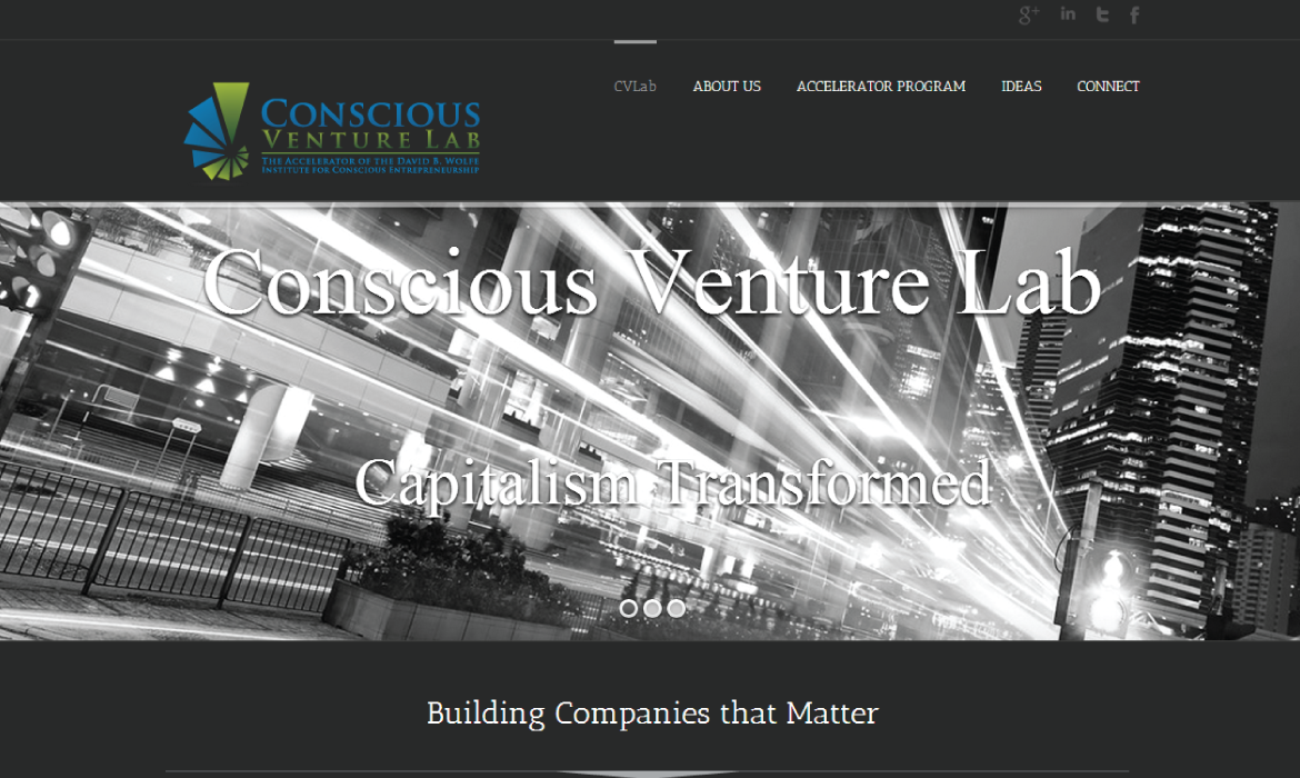 CVL 1 Conscious Venture Lab Website