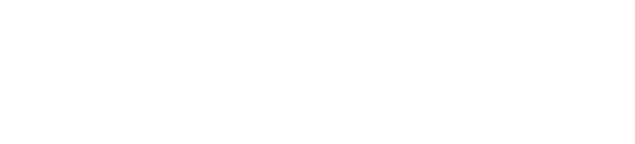 new-faith-logo-horizontal-white